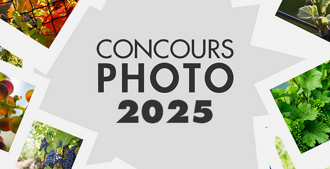 Concours photos